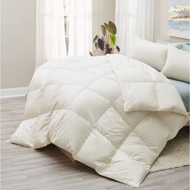 Arsuite All Season Down Alternative Comforter Wayfair